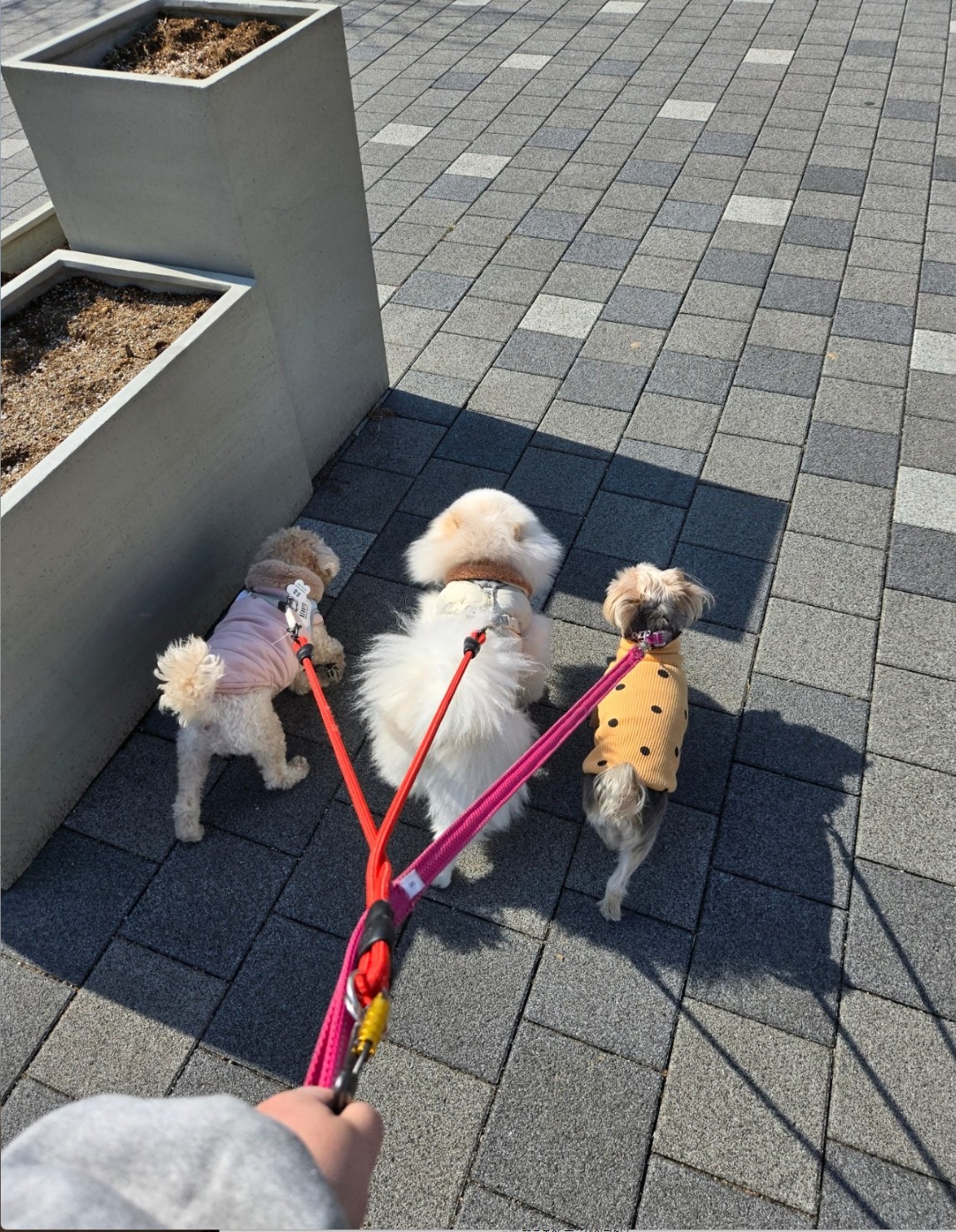 유치원